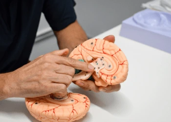 Concussion Program